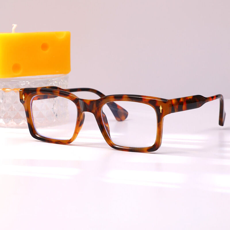 Werner Square Tortoise Glasses