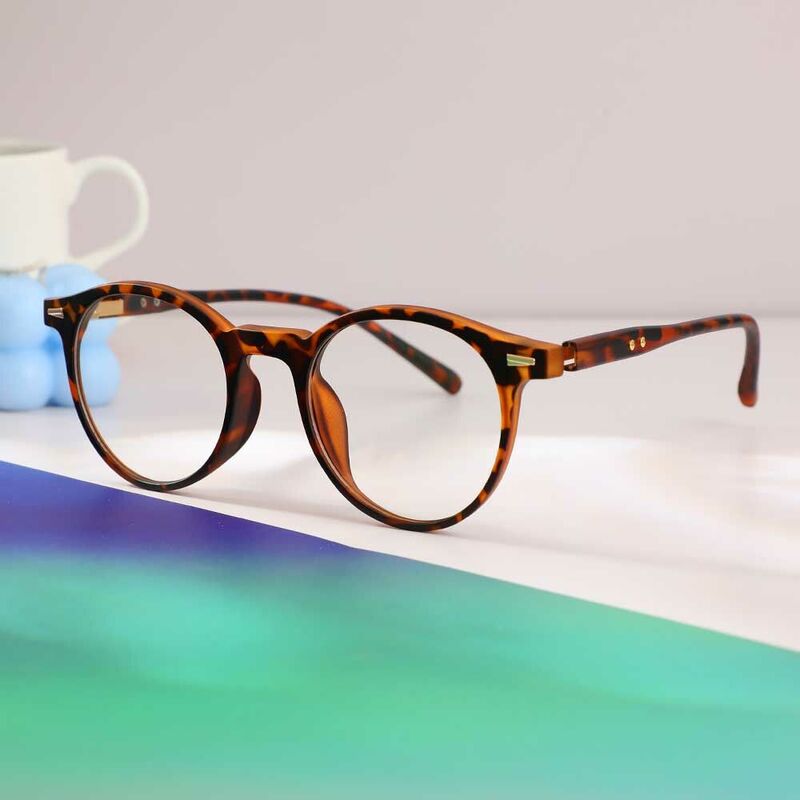 Ogden Round Tortoise Glasses