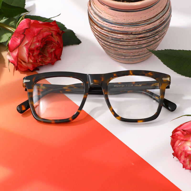 Frankl Square Tortoise Glasses