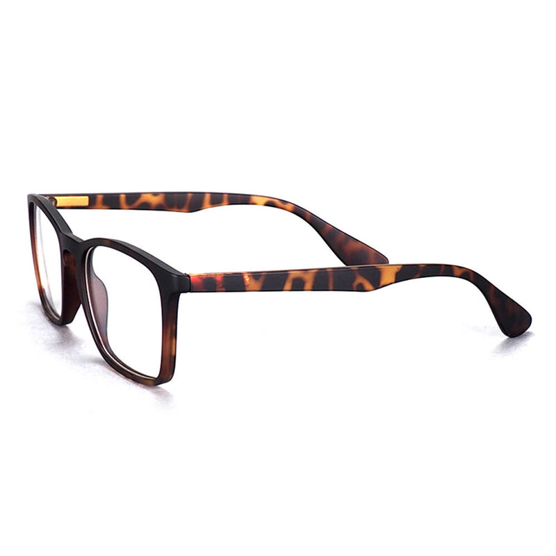 Gerald Square Tortoise Glasses