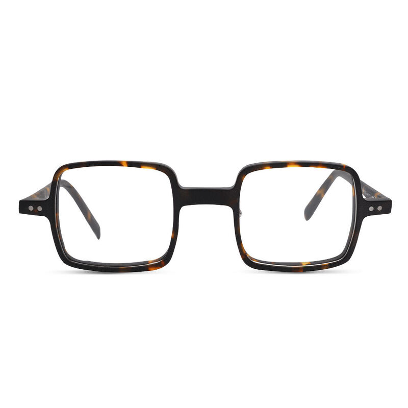 Marjory Square Tortoise Glasses