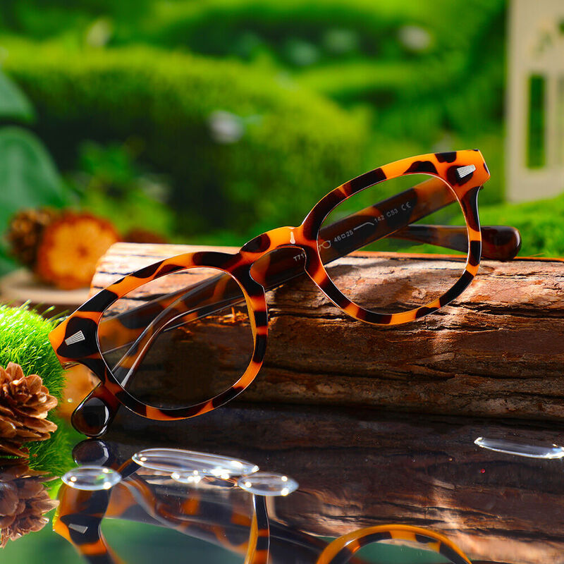Lucien Square Tortoise Glasses