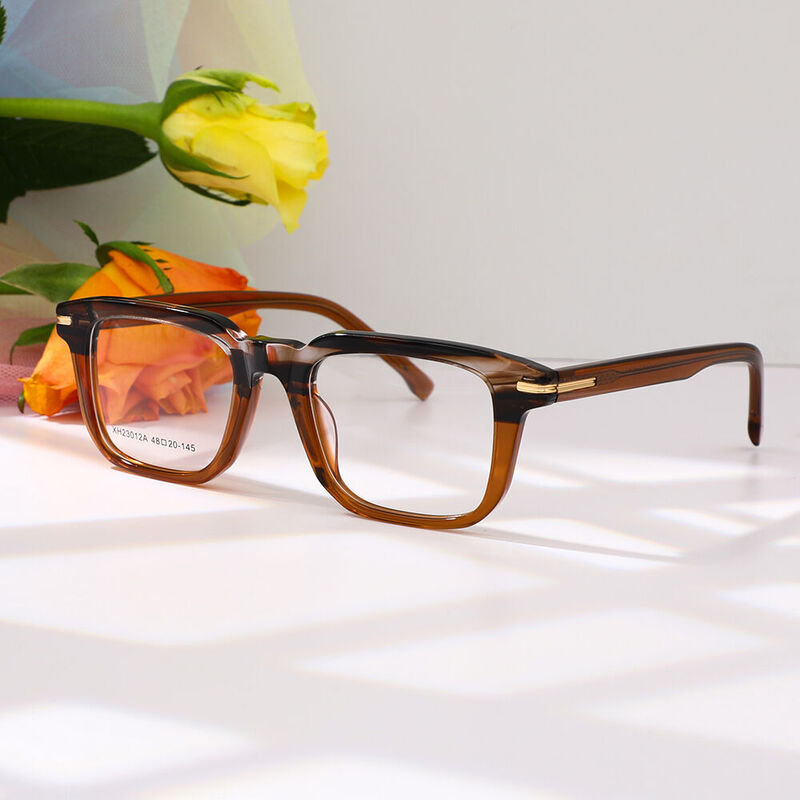 Doroth Square Brown Glasses