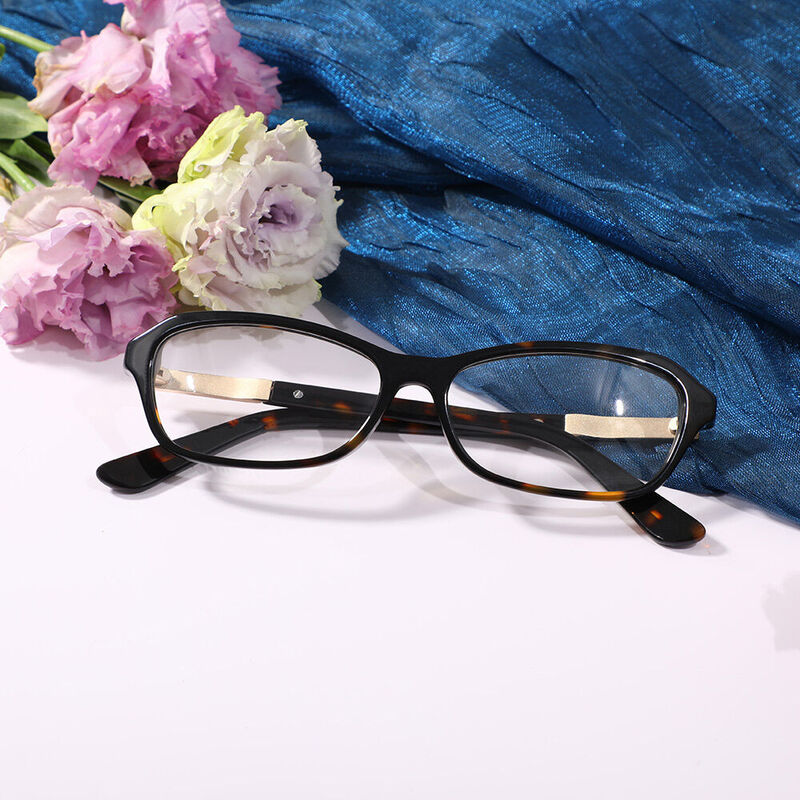 Steinbecie Rectangle Tortoise Glasses