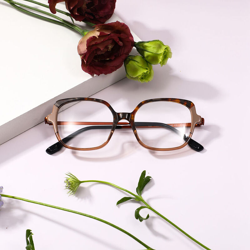 Cele Square Brown Glasses