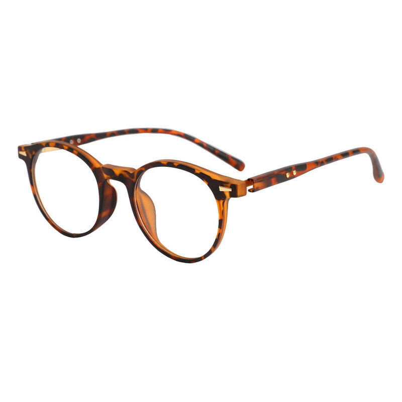 Ogden Round Tortoise Glasses