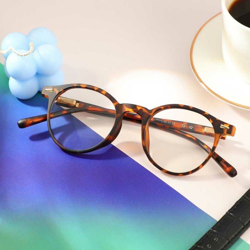Ogden Round Tortoise Glasses