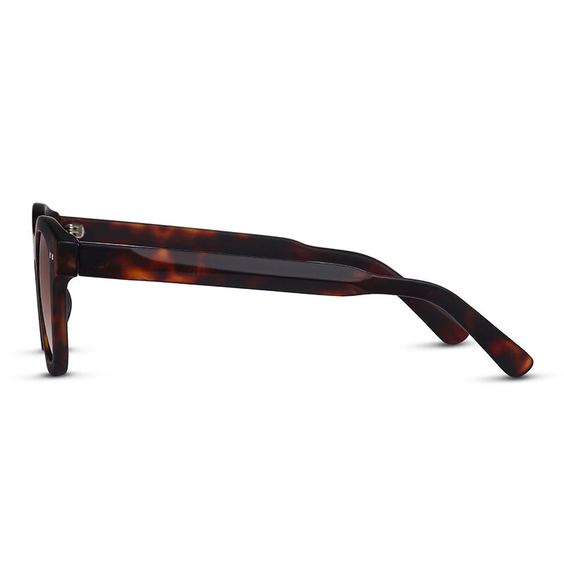 Gafas de sol Cuadradas Tortugas/Marrones Real Reality