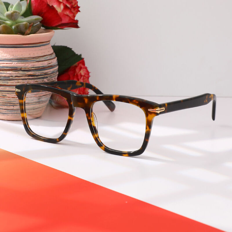 Frankl Square Tortoise Glasses