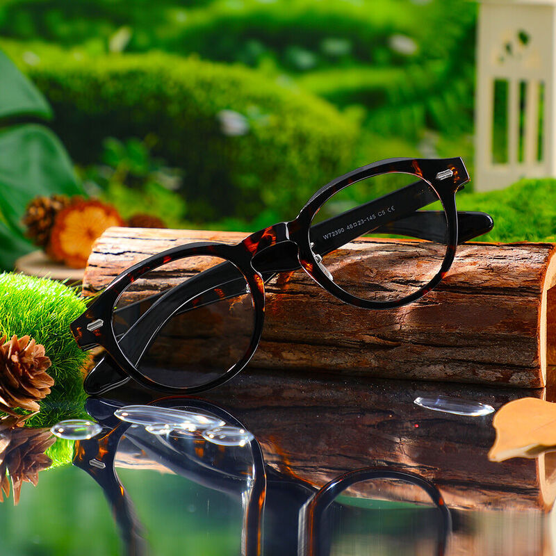 Frederic Round Tortoise Glasses