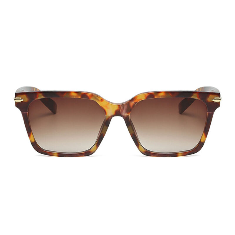 Hedway Square Tortoise Sunglasses