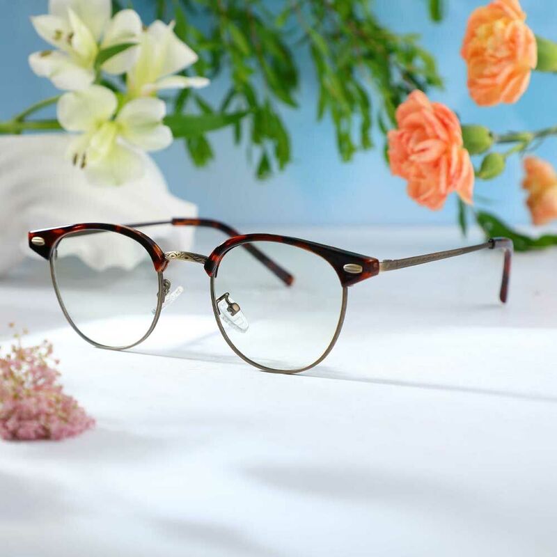 Dempsey Browline Tortoise Glasses