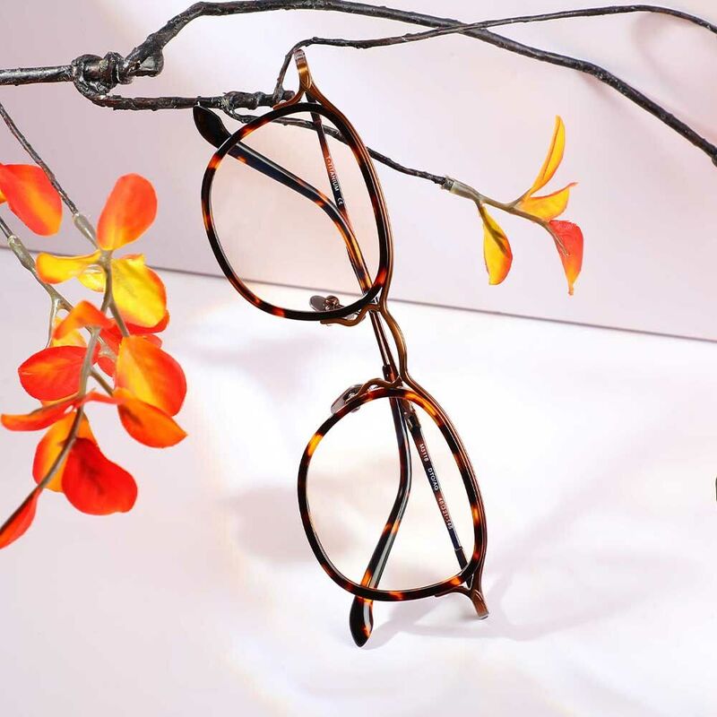 Dempsey Quadratische Schildkröte Brille