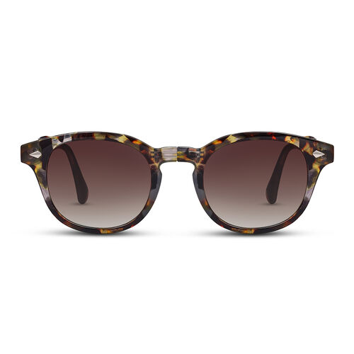Lunettes De Soleil Oliver Peoples Romare Polarisées - Couleur Tortoise Brown, Neuves Avec étiquettes