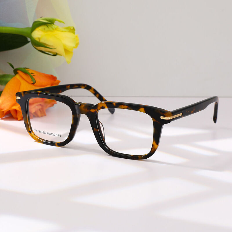 Doroth Square Tortoise Glasses