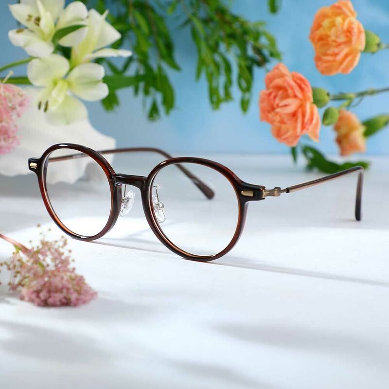 Martina Round Brown Glasses